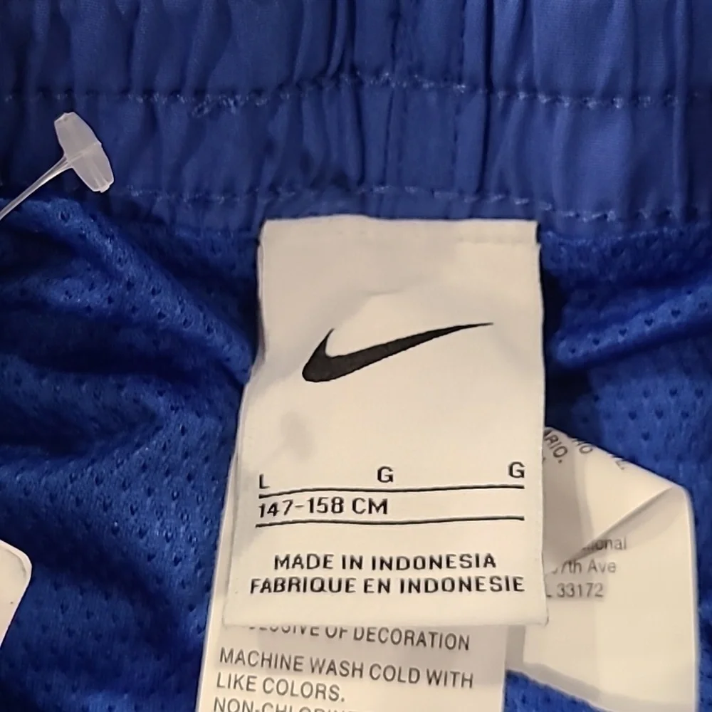 Nike Swim Trunks